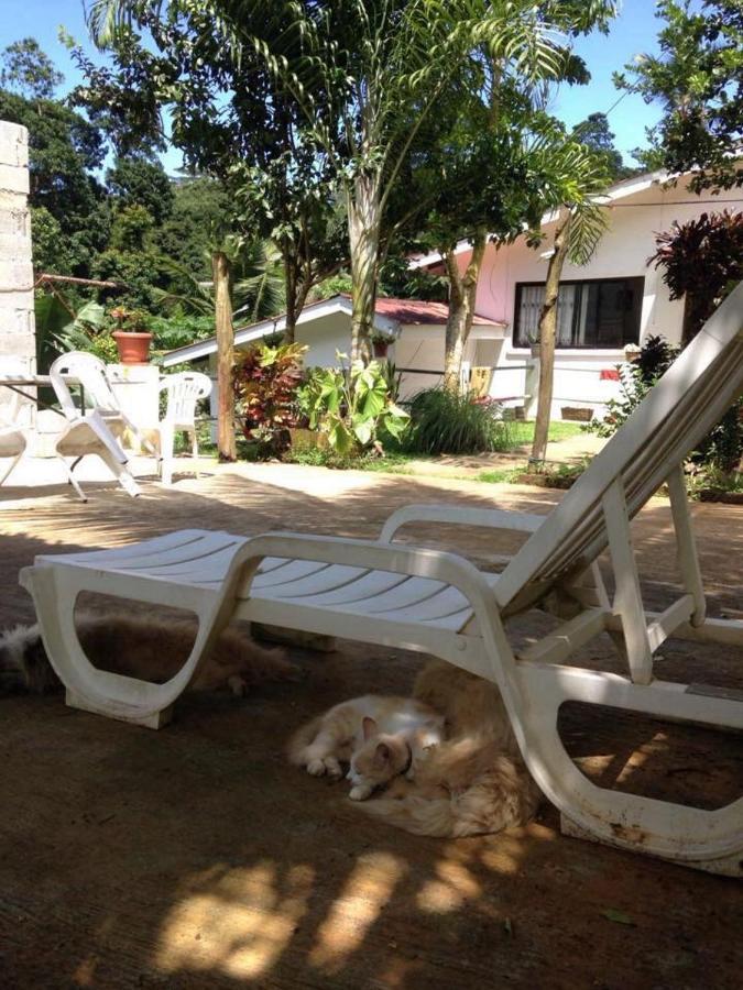 Papayas Self Catering Room Victoria Exterior photo